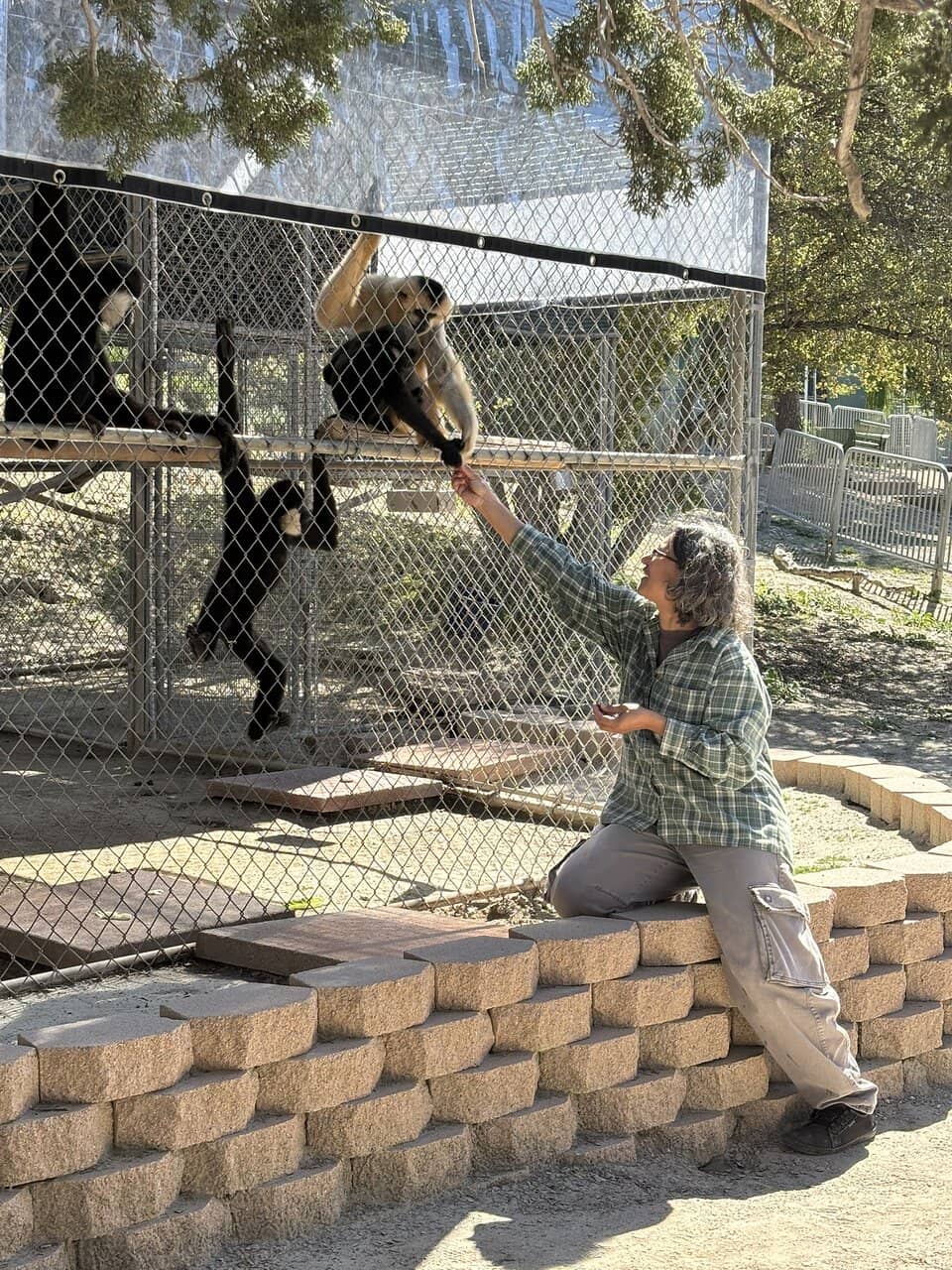 Passionate Guide Insights