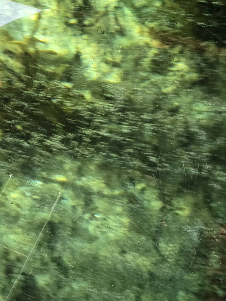 Glass Bottom Boat History