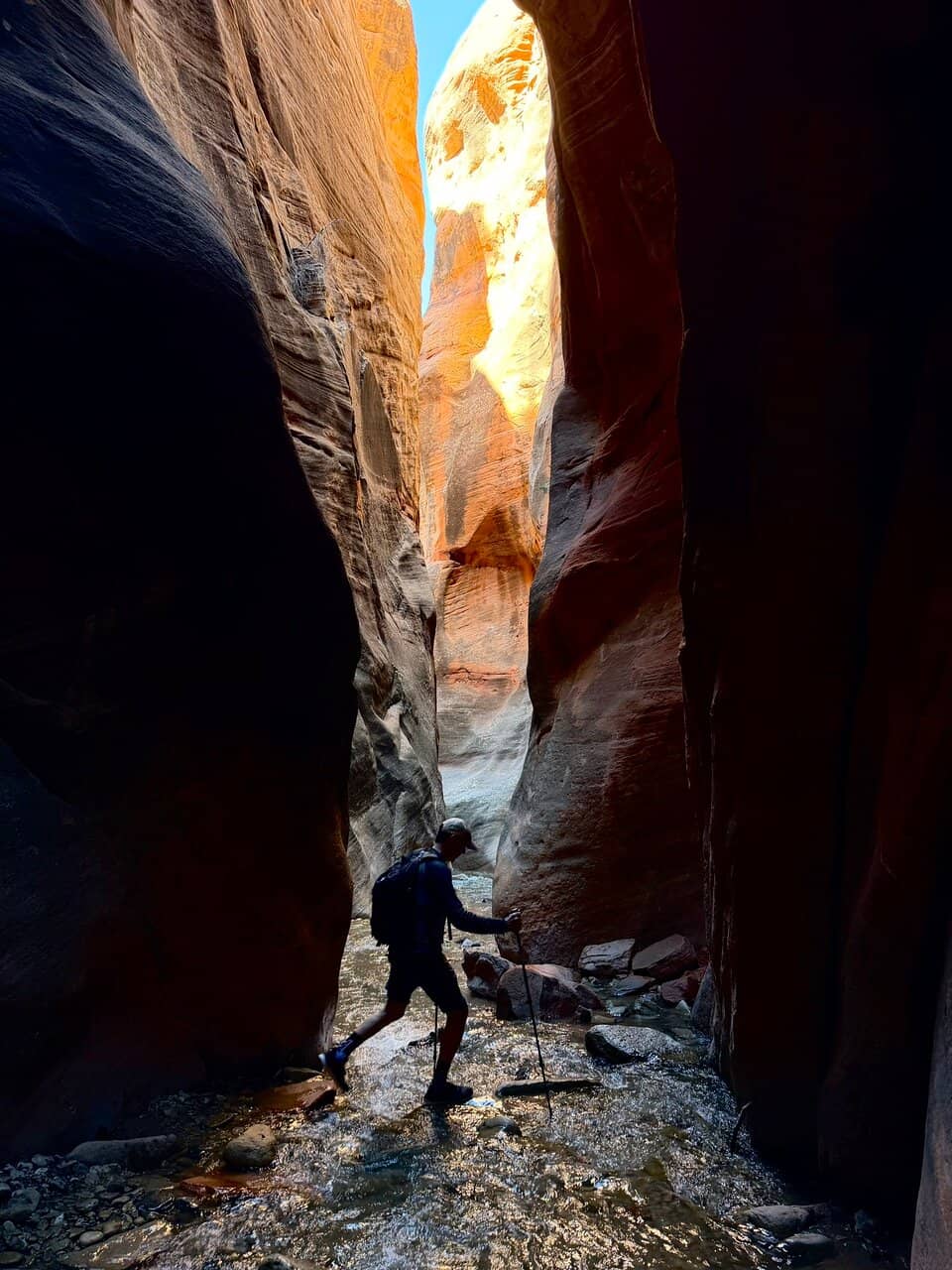 The Log Climb