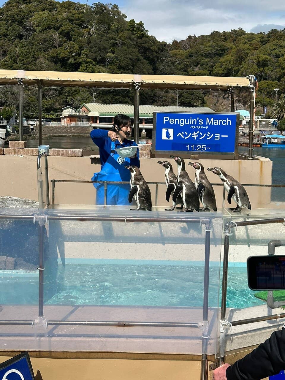 Penguin March