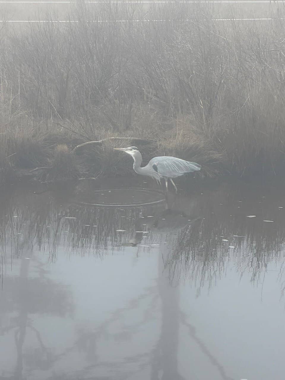 Birdwatching Paradise