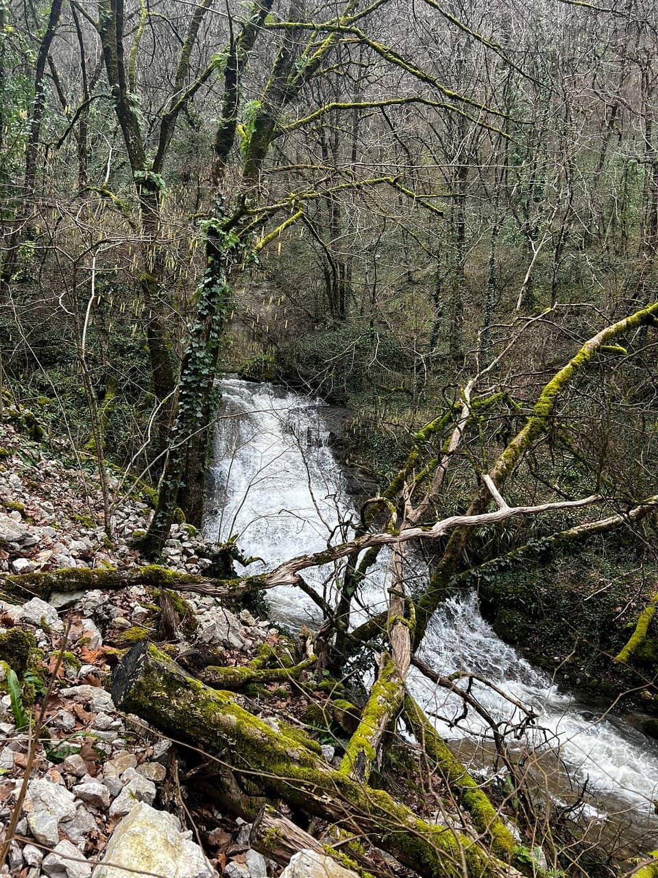 Vertical photo