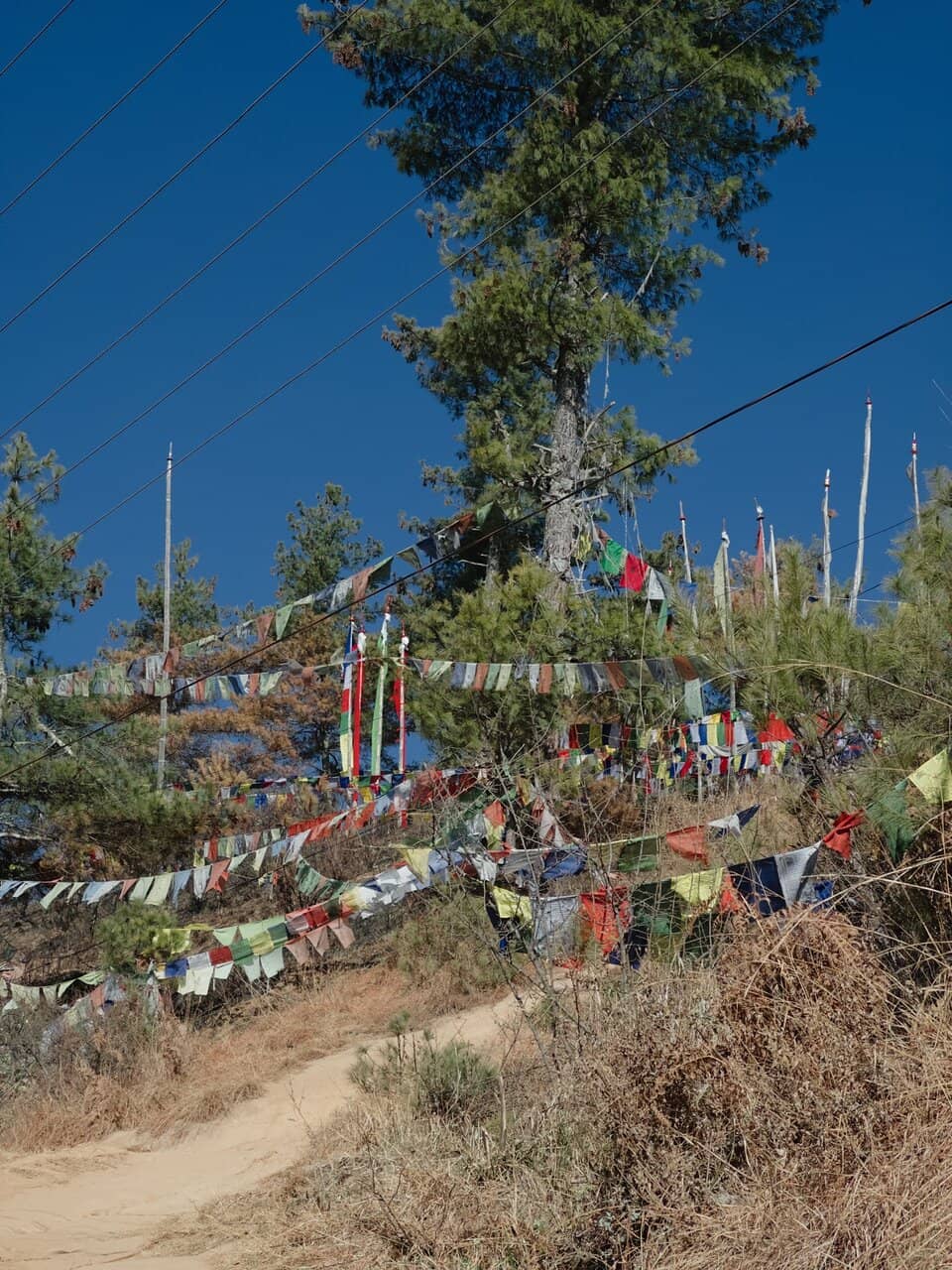Panoramic Thimphu City Views