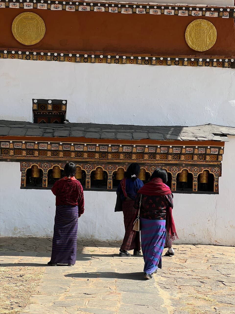 Scenic Paddy Field Walk