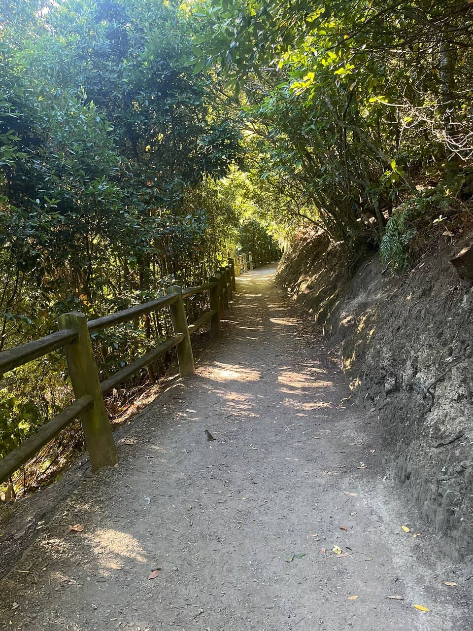 Vertical photo