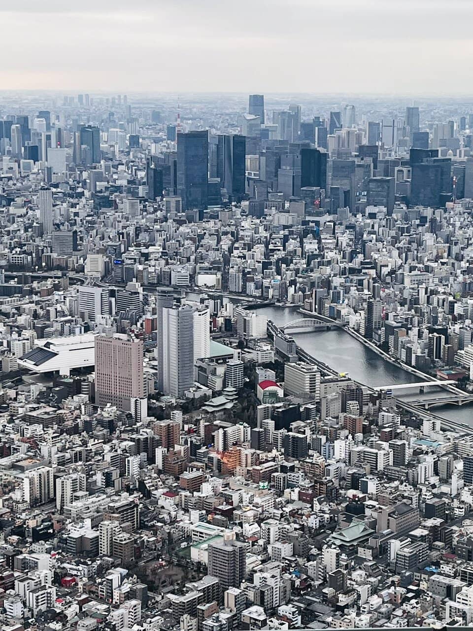 Robot Fighting Arena