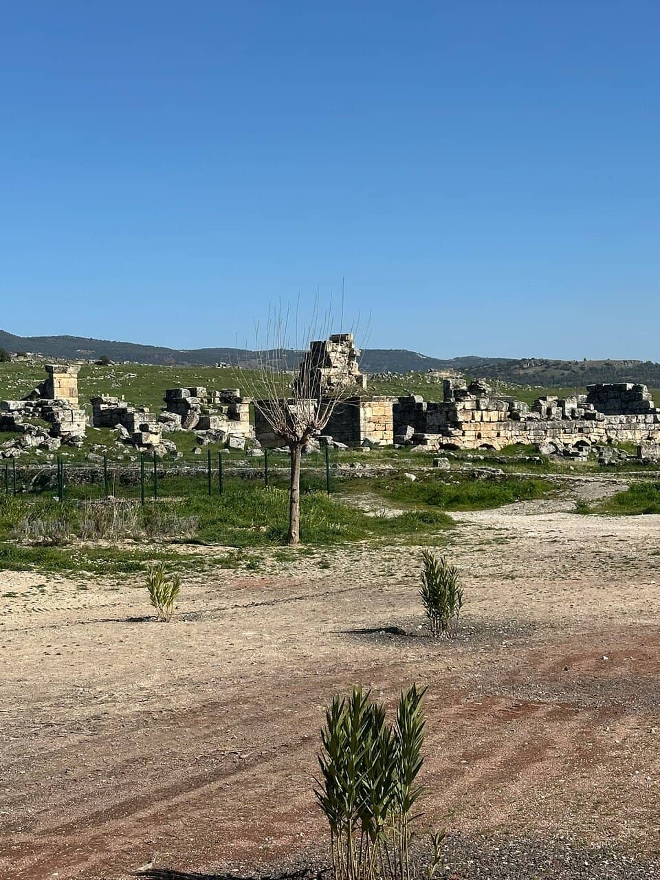 Ancient Theater