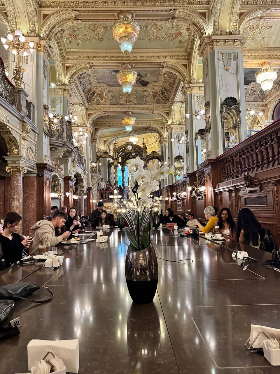 Live Music Performances