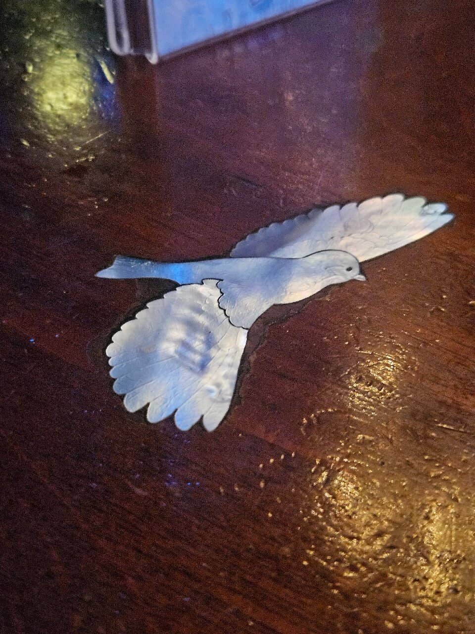 Discover Future Stars