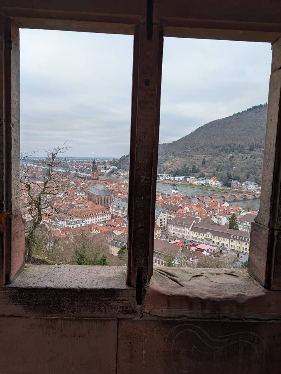 Vertical photo
