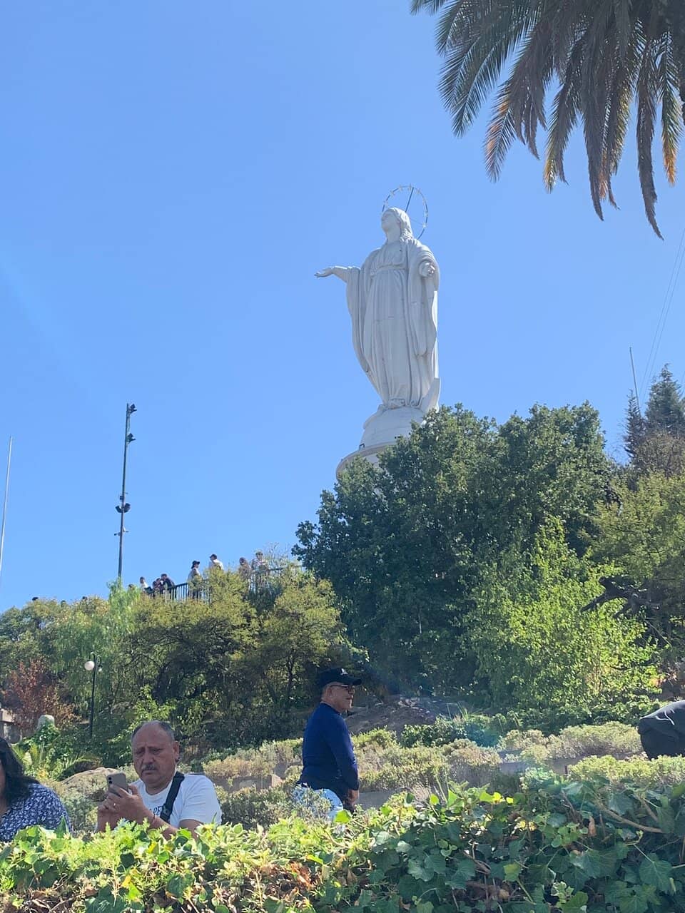 Panoramic City Views