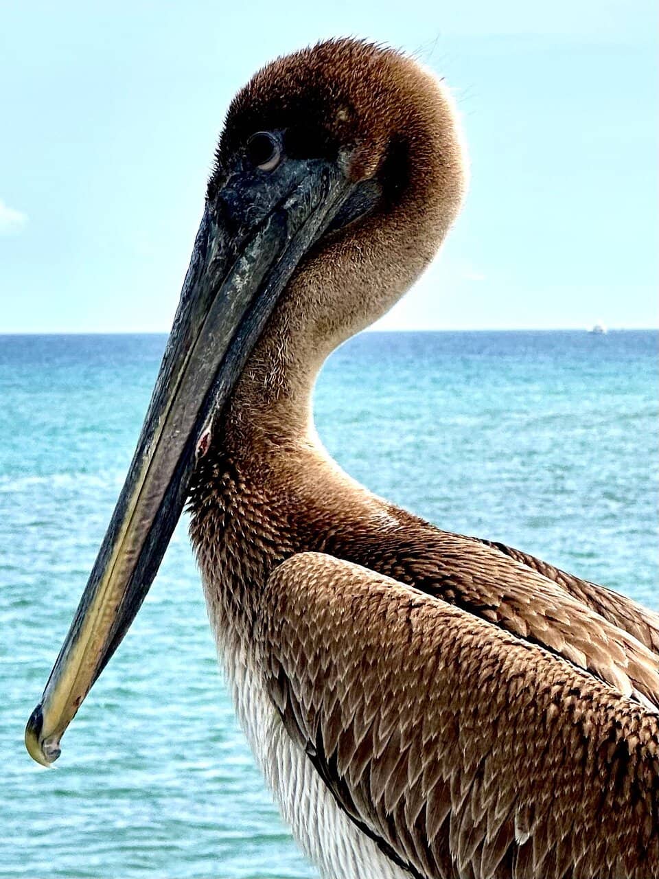 Vertical photo