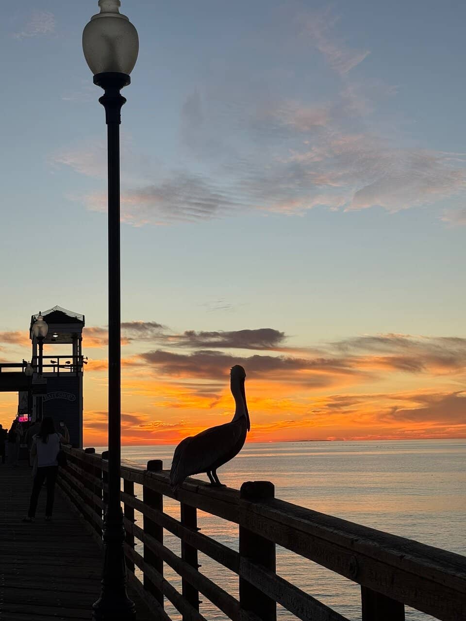 Community Gatherings