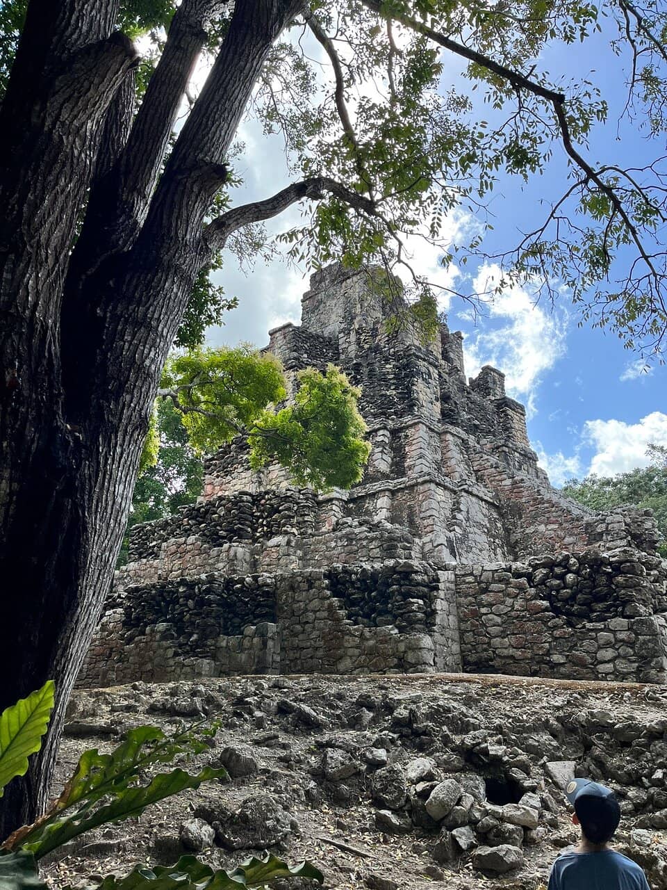 Vertical photo
