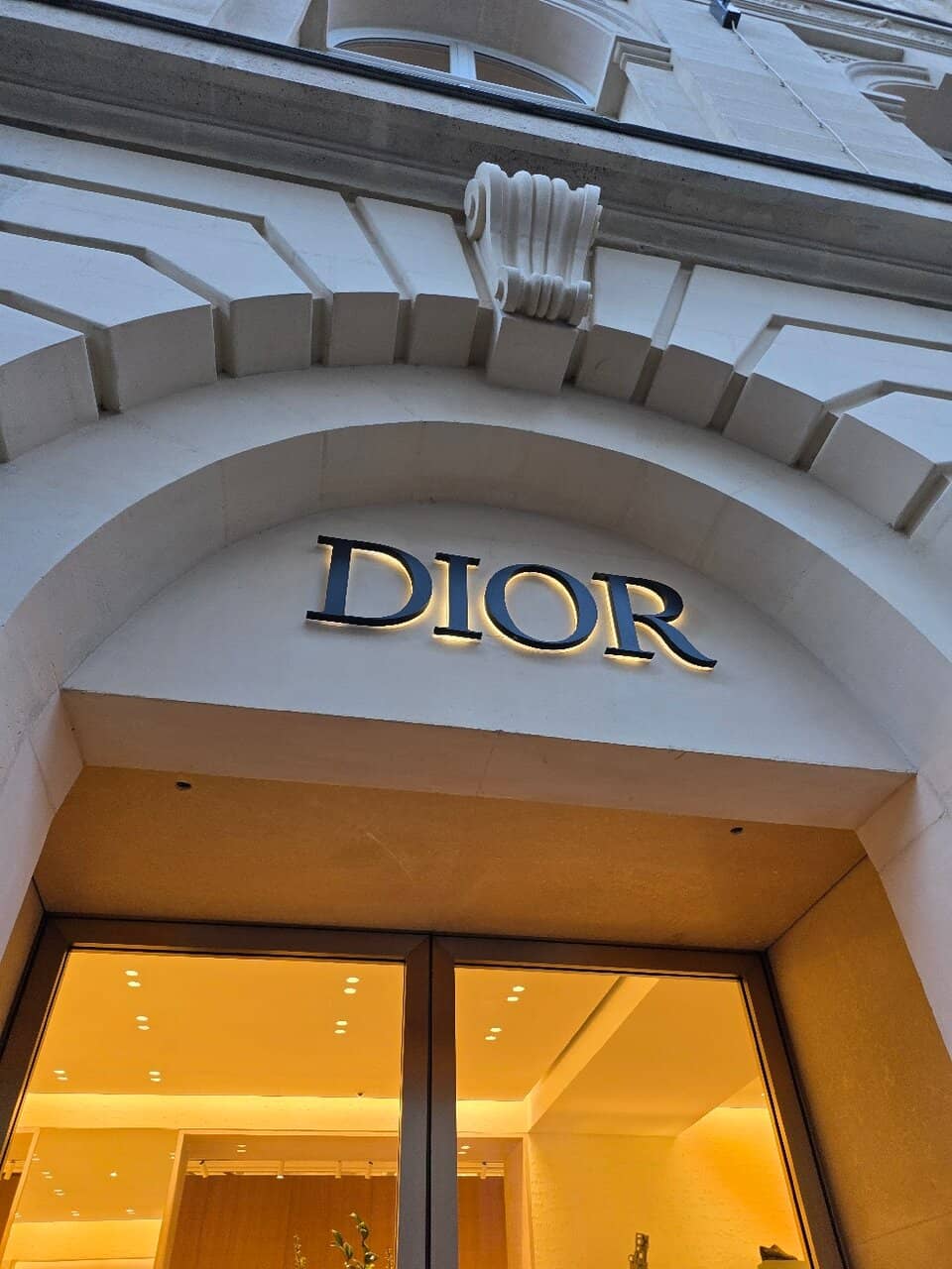 Lady Dior Bag Showcase