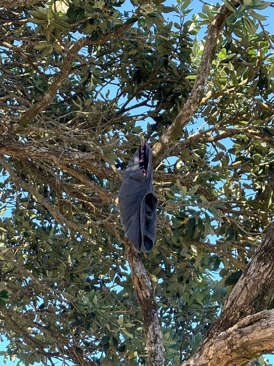 Historic Railway Journey