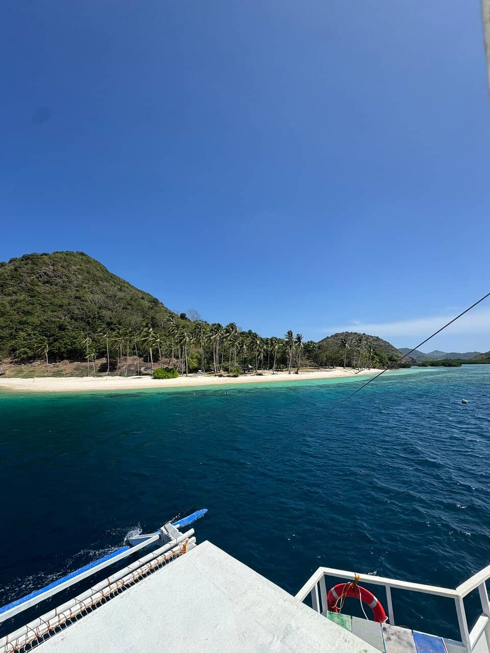 Incredible Snorkeling & Marine Life