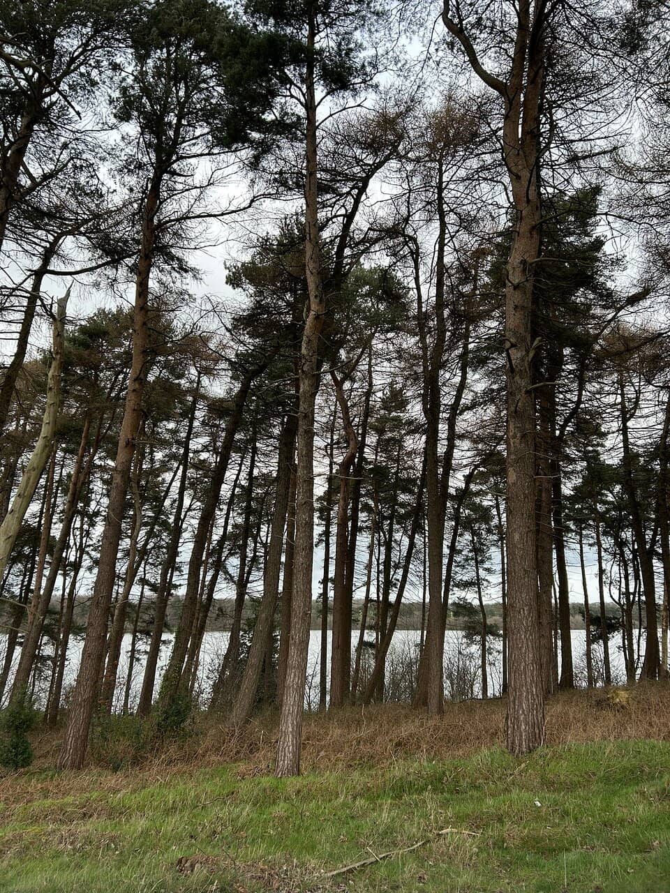 Vertical photo