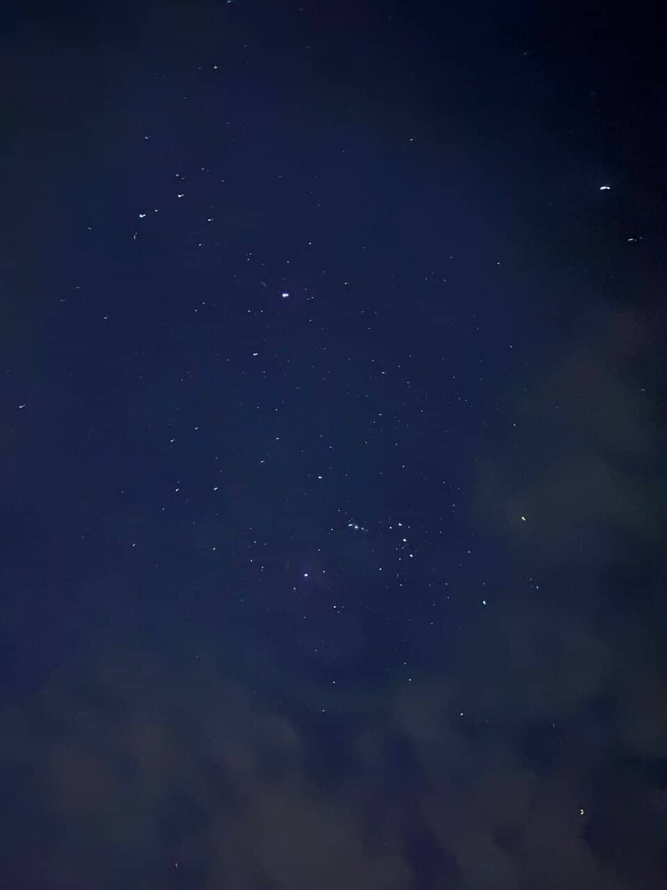 Highlights