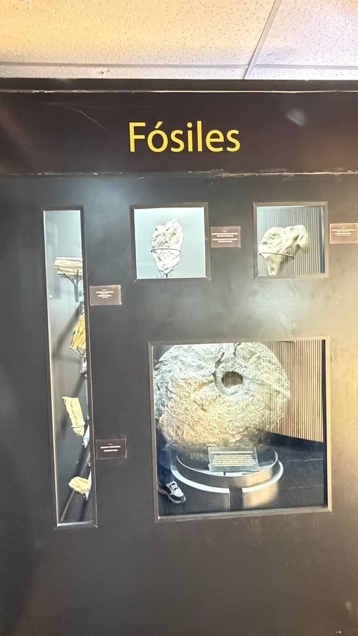 Indigenous Cultures of Patagonia