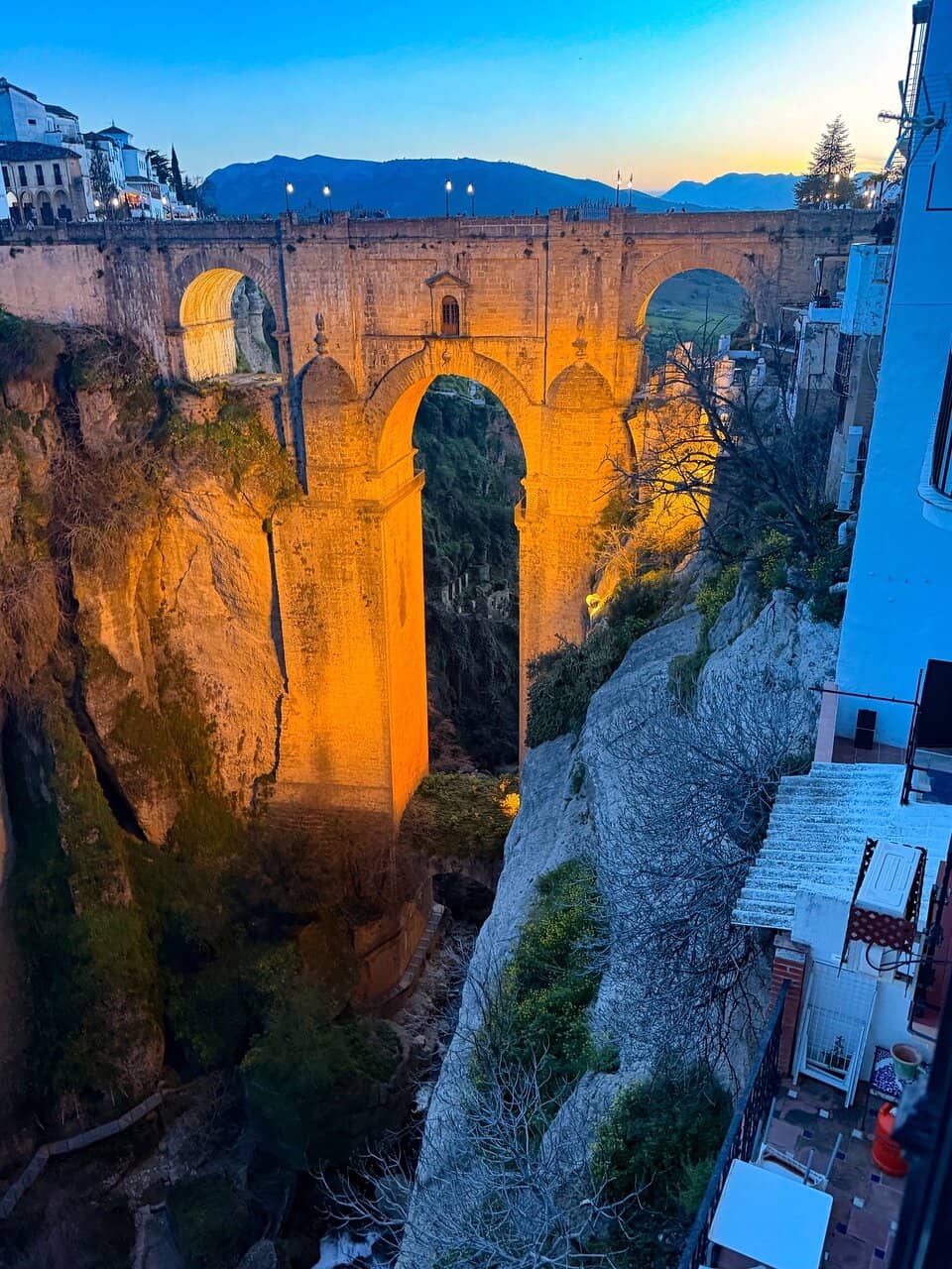Vertical photo