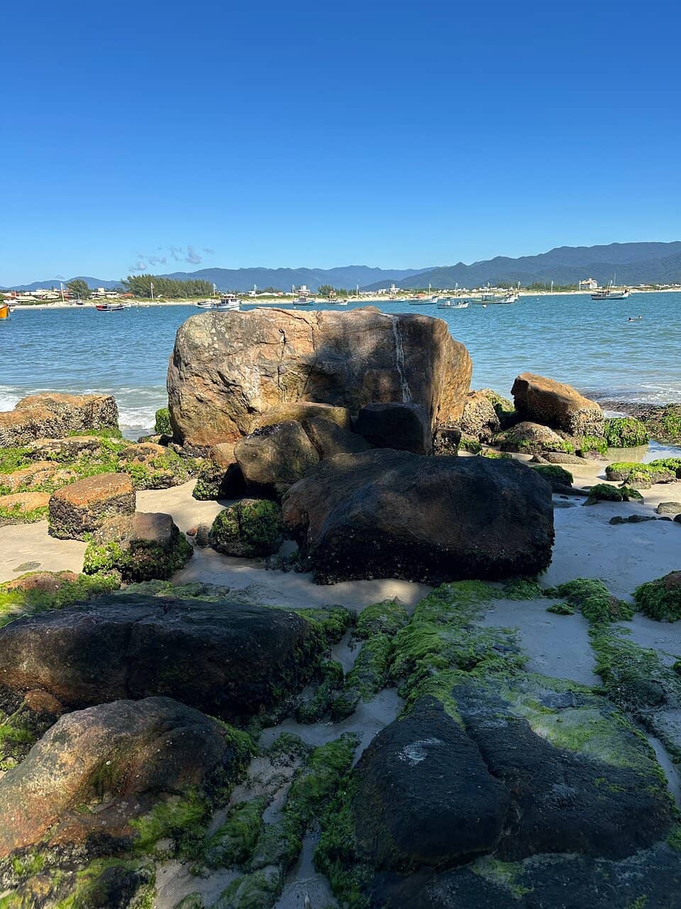 Vertical photo