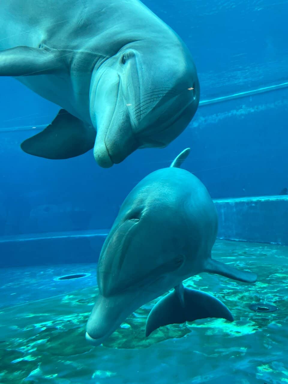 Nature Within the City