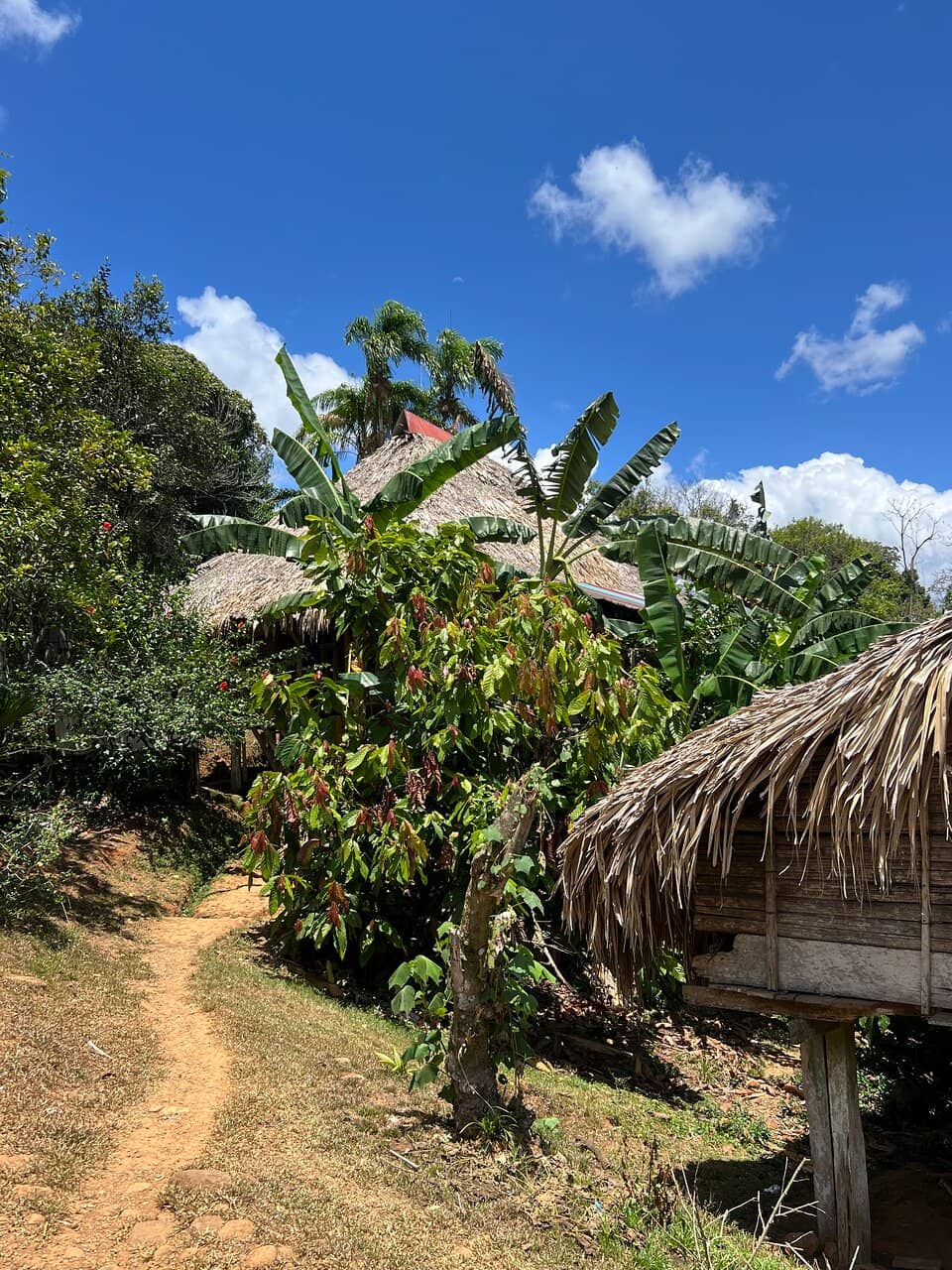 Embera Indigenous Village
