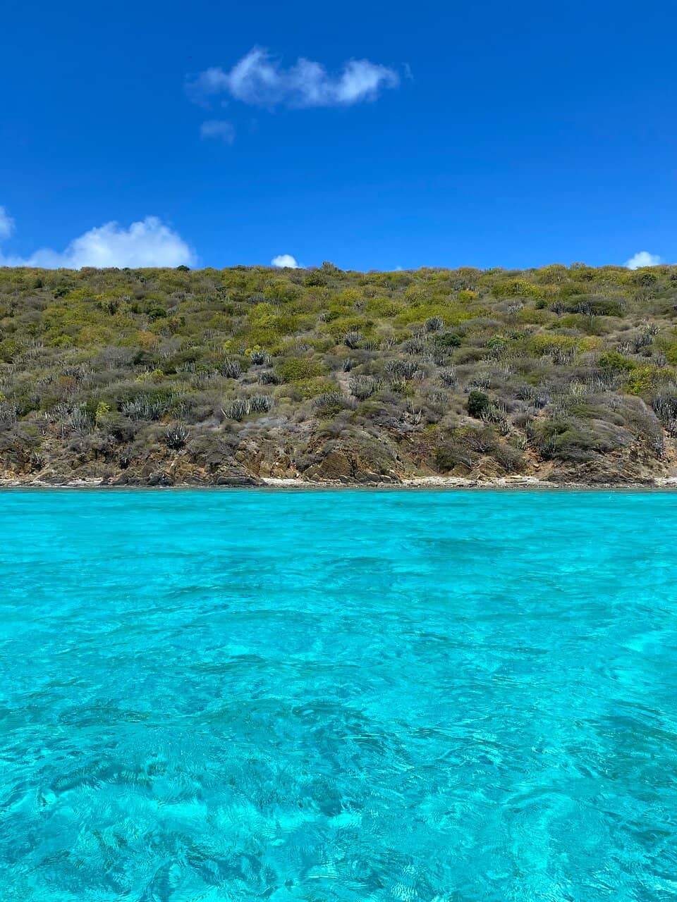 Abundant Marine Life
