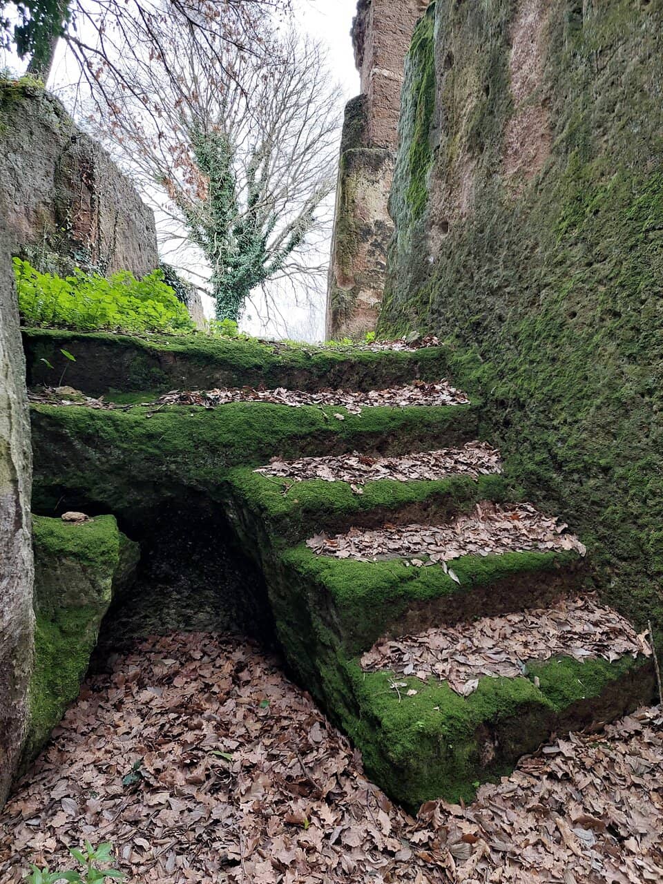 Vertical photo