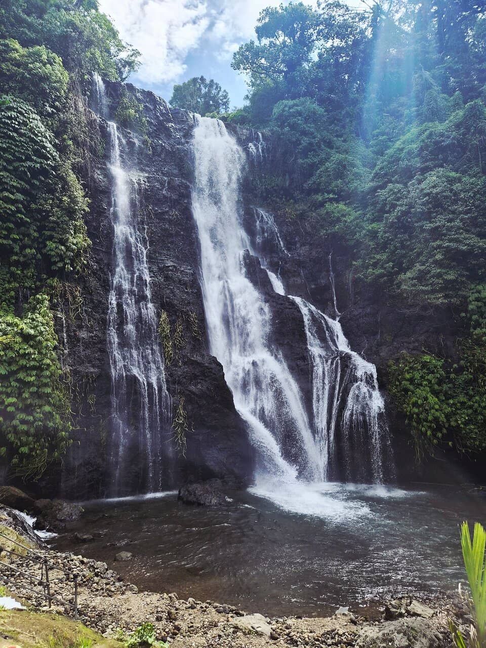 Vertical photo