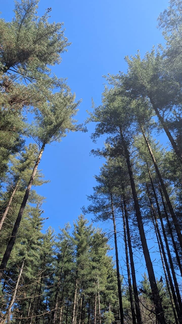 Vertical photo
