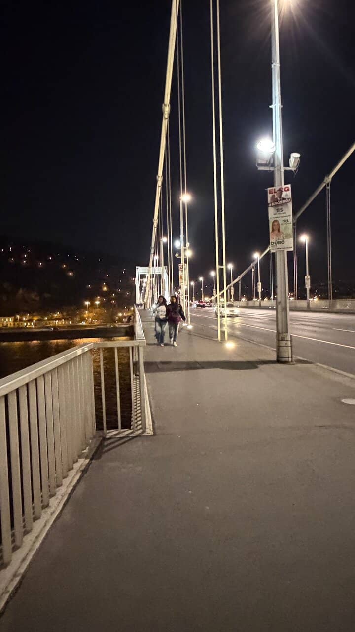 The Love Locks