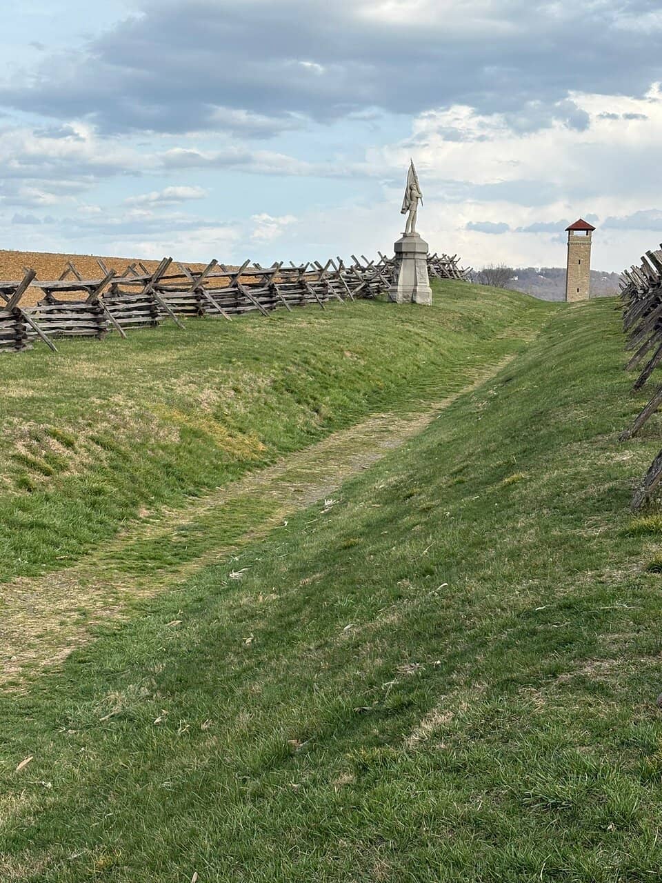 The Cornfield