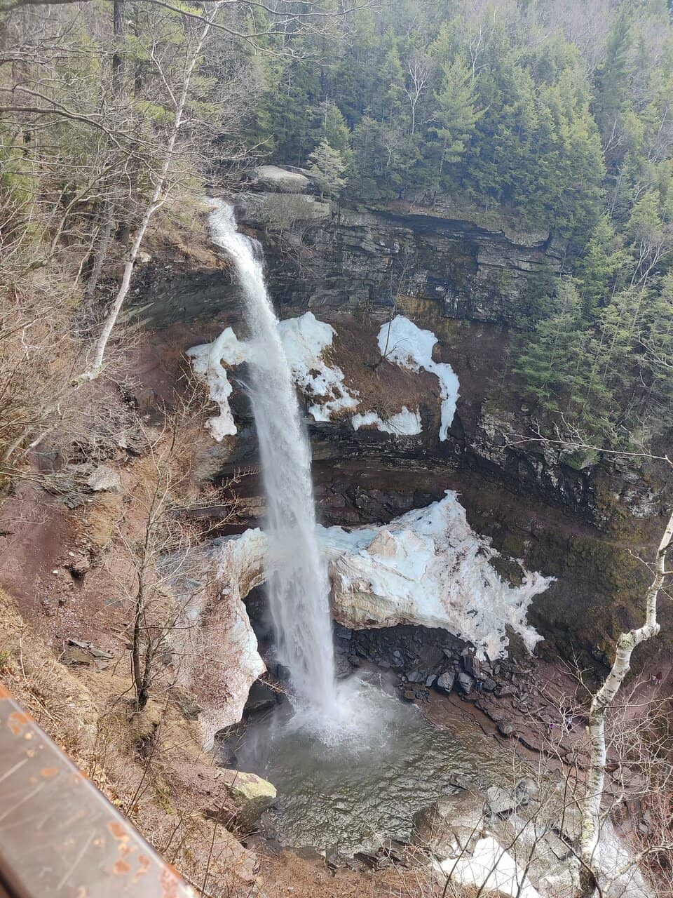 Vertical photo