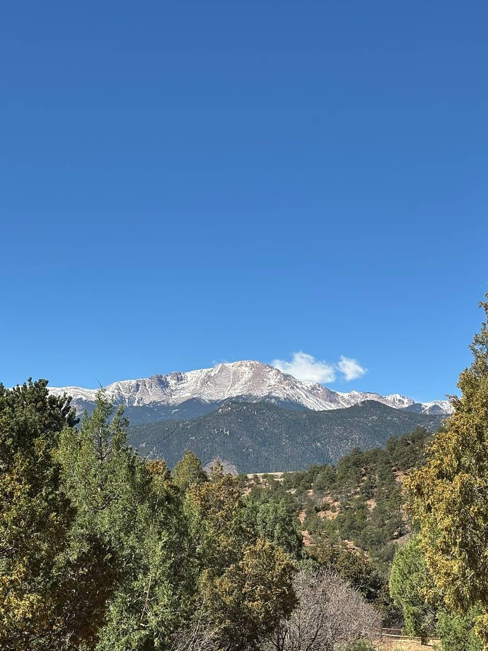 Vertical photo