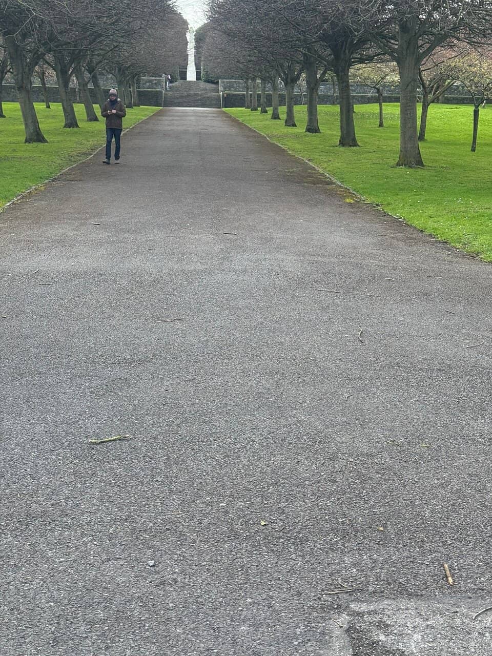 Vertical photo