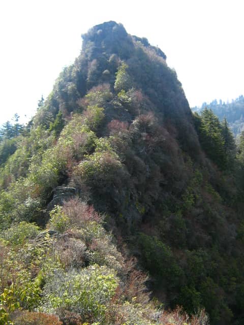 Vertical photo