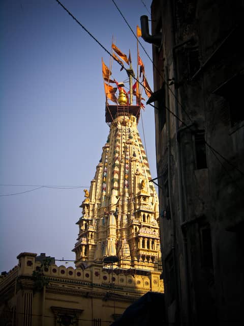 Vertical photo