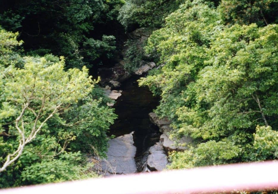 Forest Nature Trail