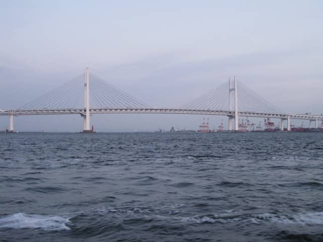 Vertical photo