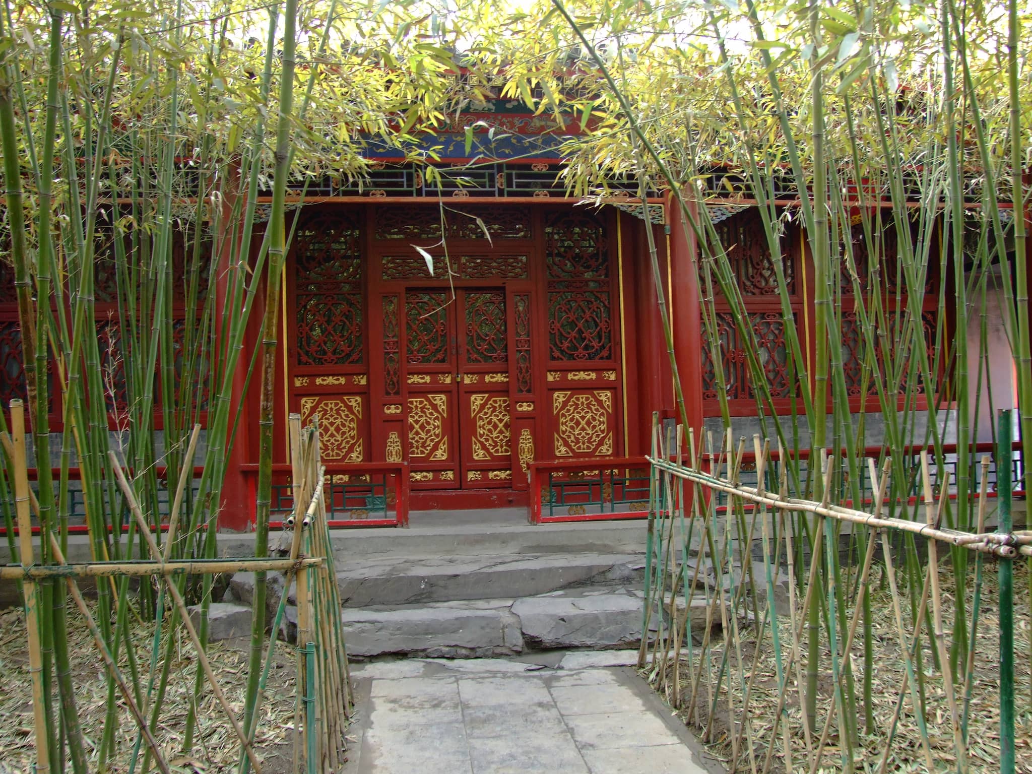 Vertical photo