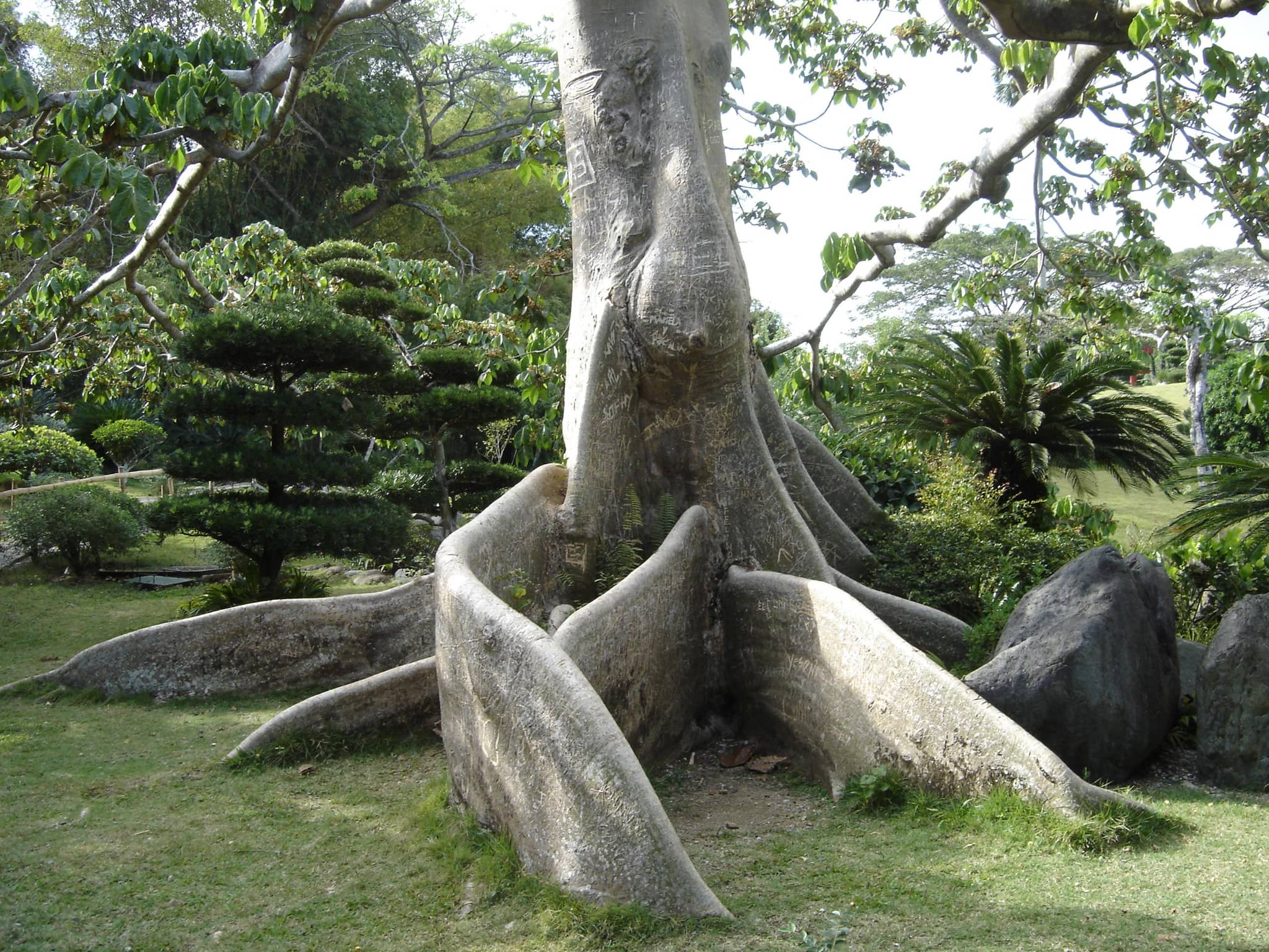 Orchid Pavilion