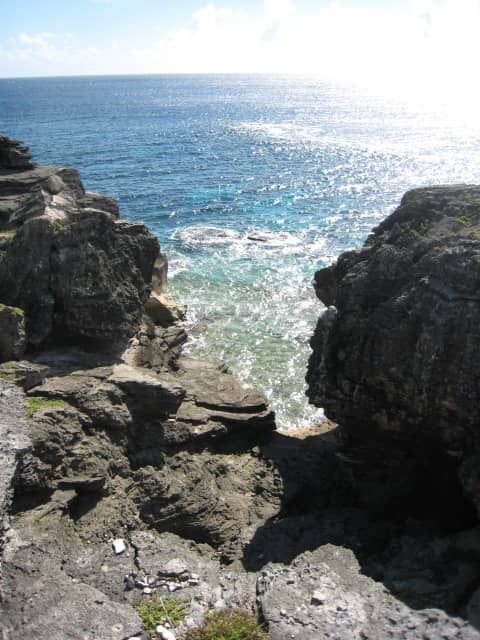 Vertical photo