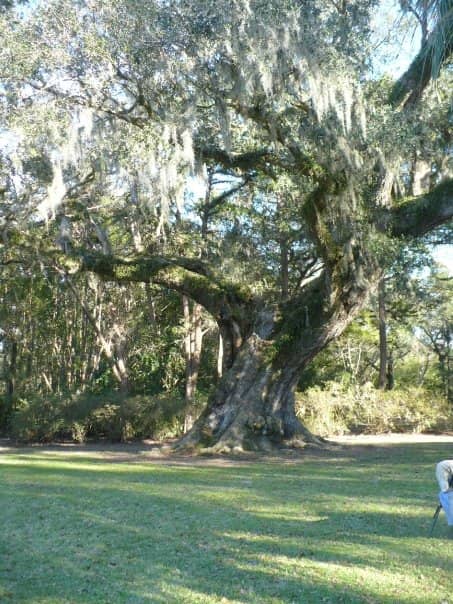 Bird City Sanctuary