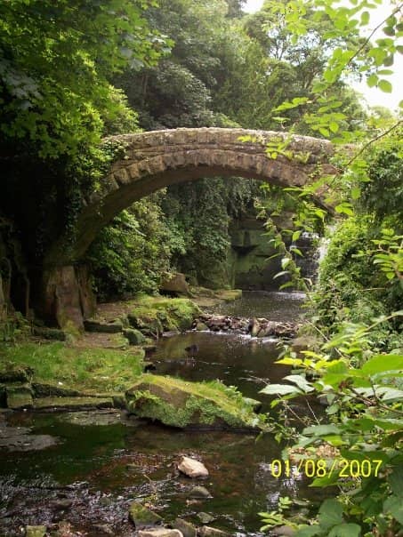 The Waterfall