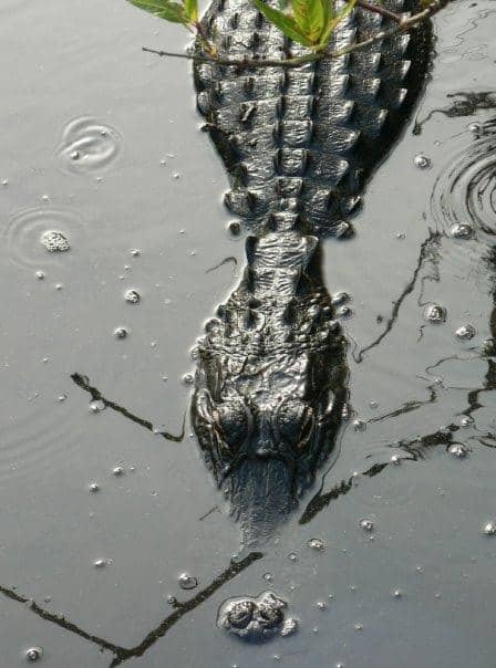 Royal Palm Visitor Center