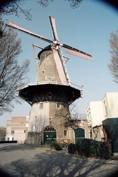 Vertical photo