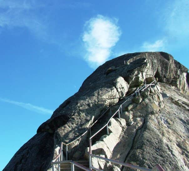 Vertical photo
