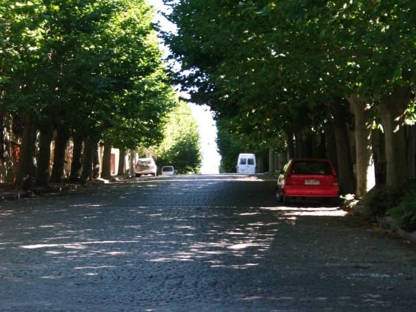 Local Boutiques and Shops